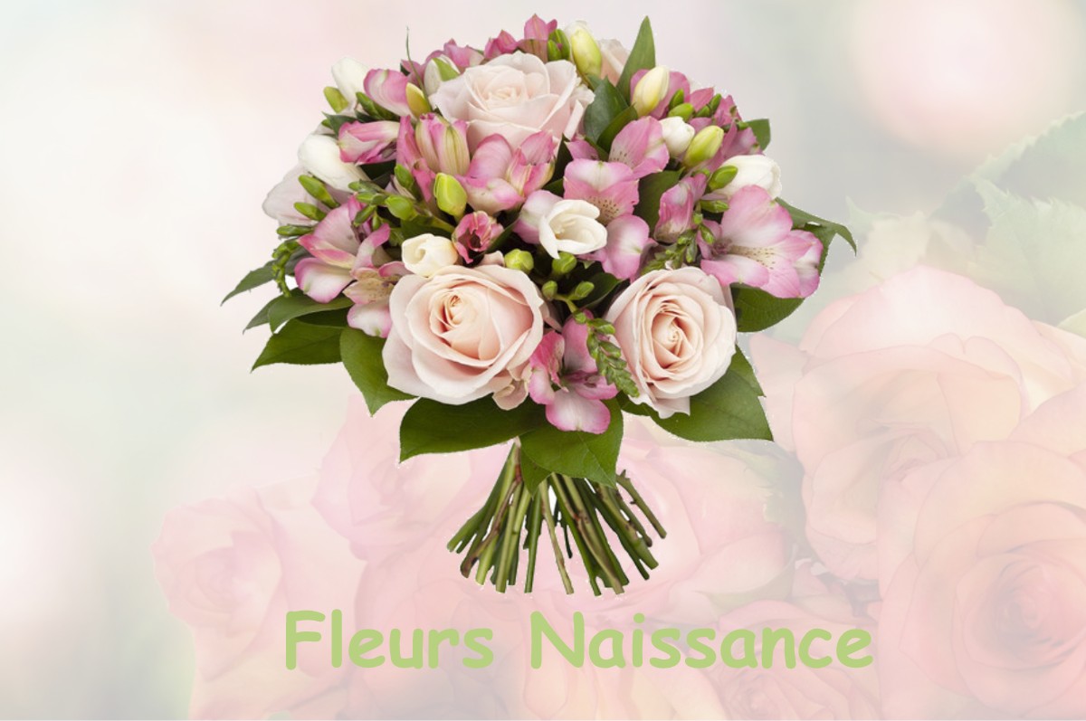 fleurs naissance LA-CHAUSSAIRE